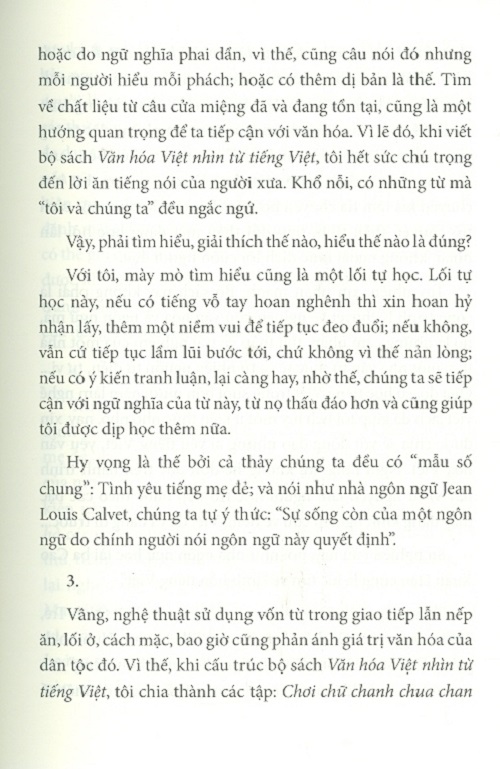 Văn Hóa Việt Nhìn Từ Tiếng Việt - Chơi Chữ Chanh Chua Chan Chát Chữ