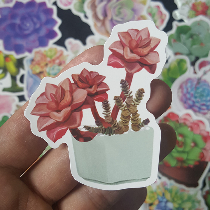 Bộ Sticker dán cao cấp chủ đề SEN ĐÁ SUCCULENTS - Dùng dán Xe, dán mũ bảo hiểm, dán Laptop