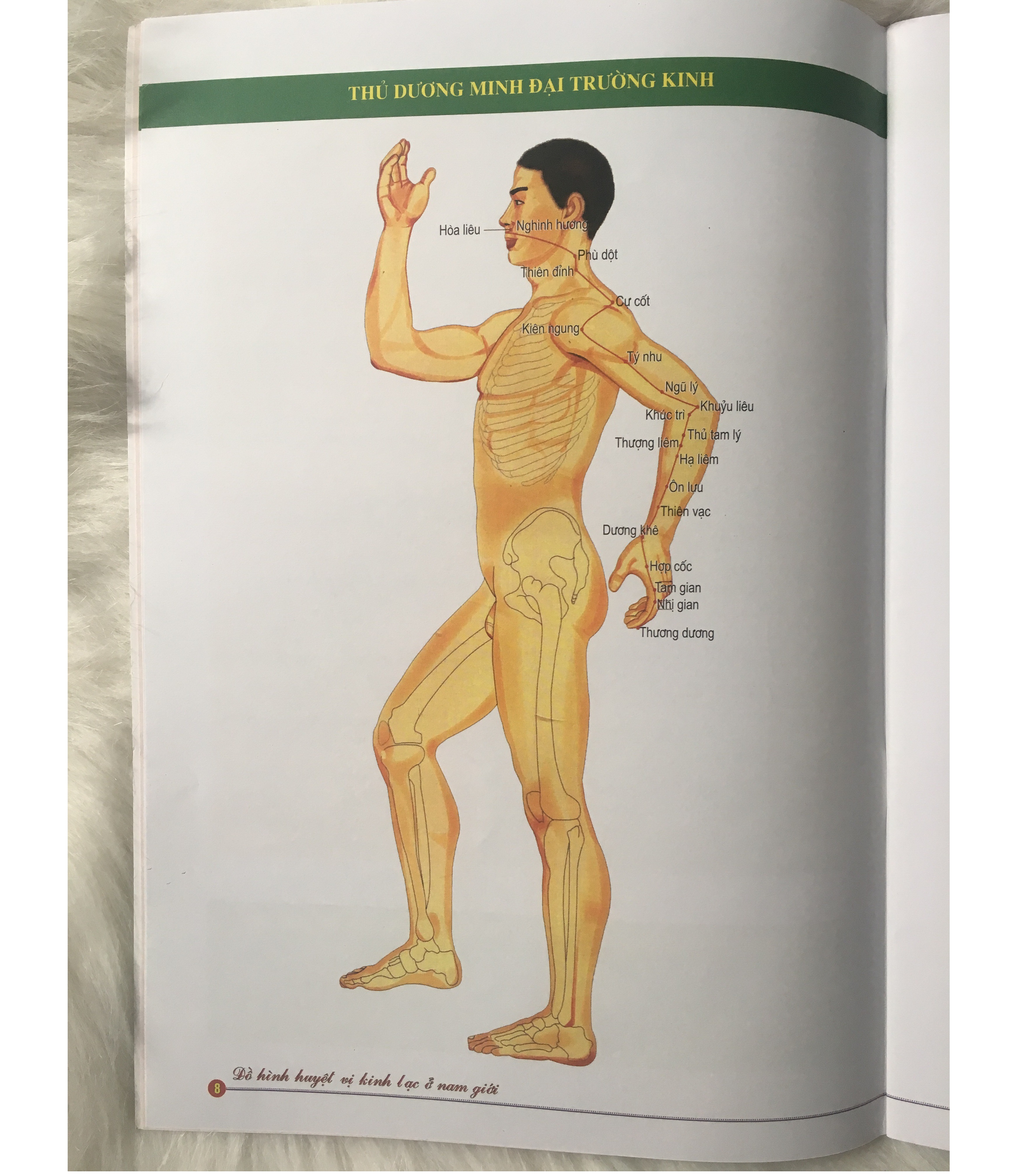 Đồ Hình Huyệt Vị Kinh Lạc Ở Nam Giới - Tặng Kèm Bookmark GIGA