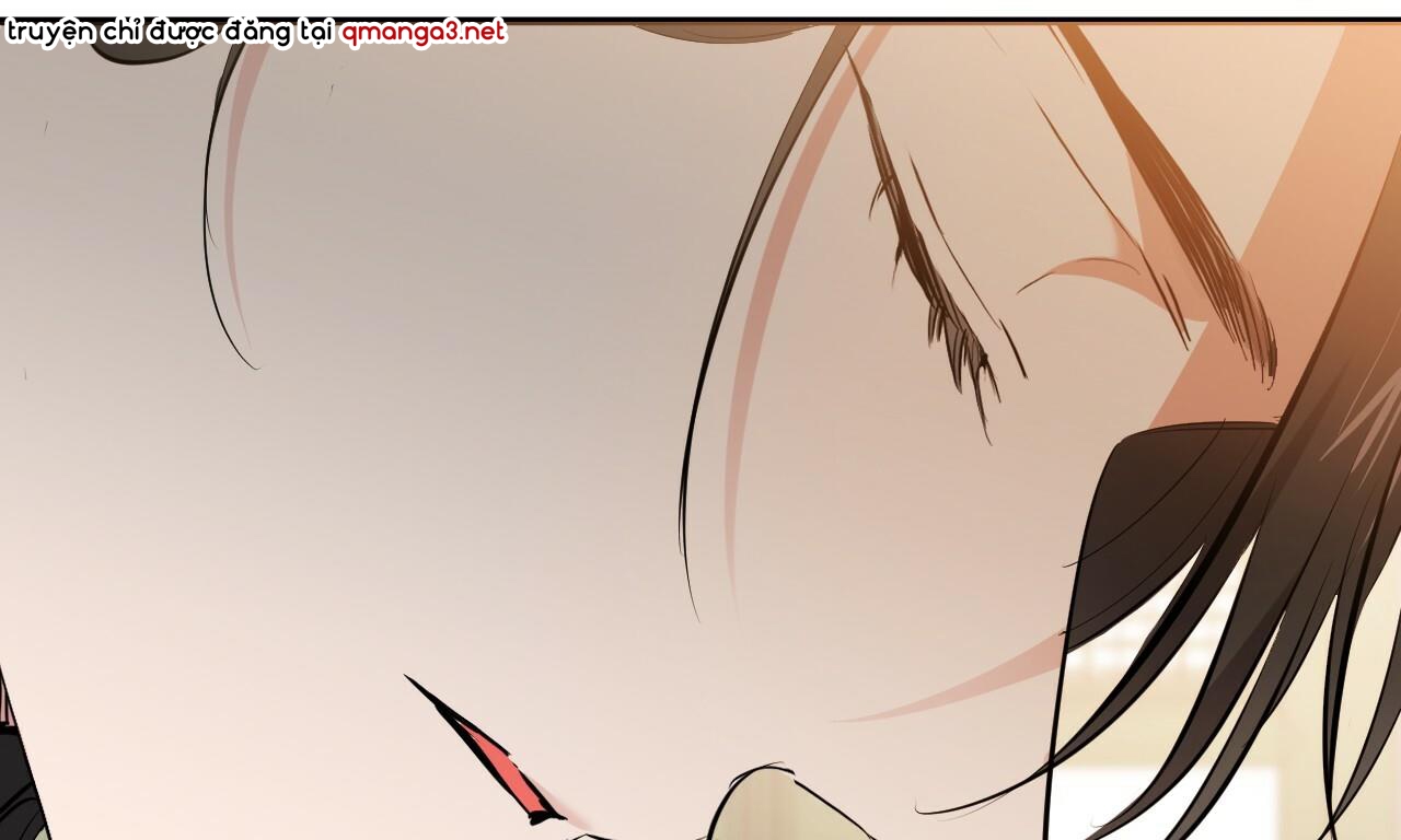 những chú thỏ của hapypy chapter 49 98