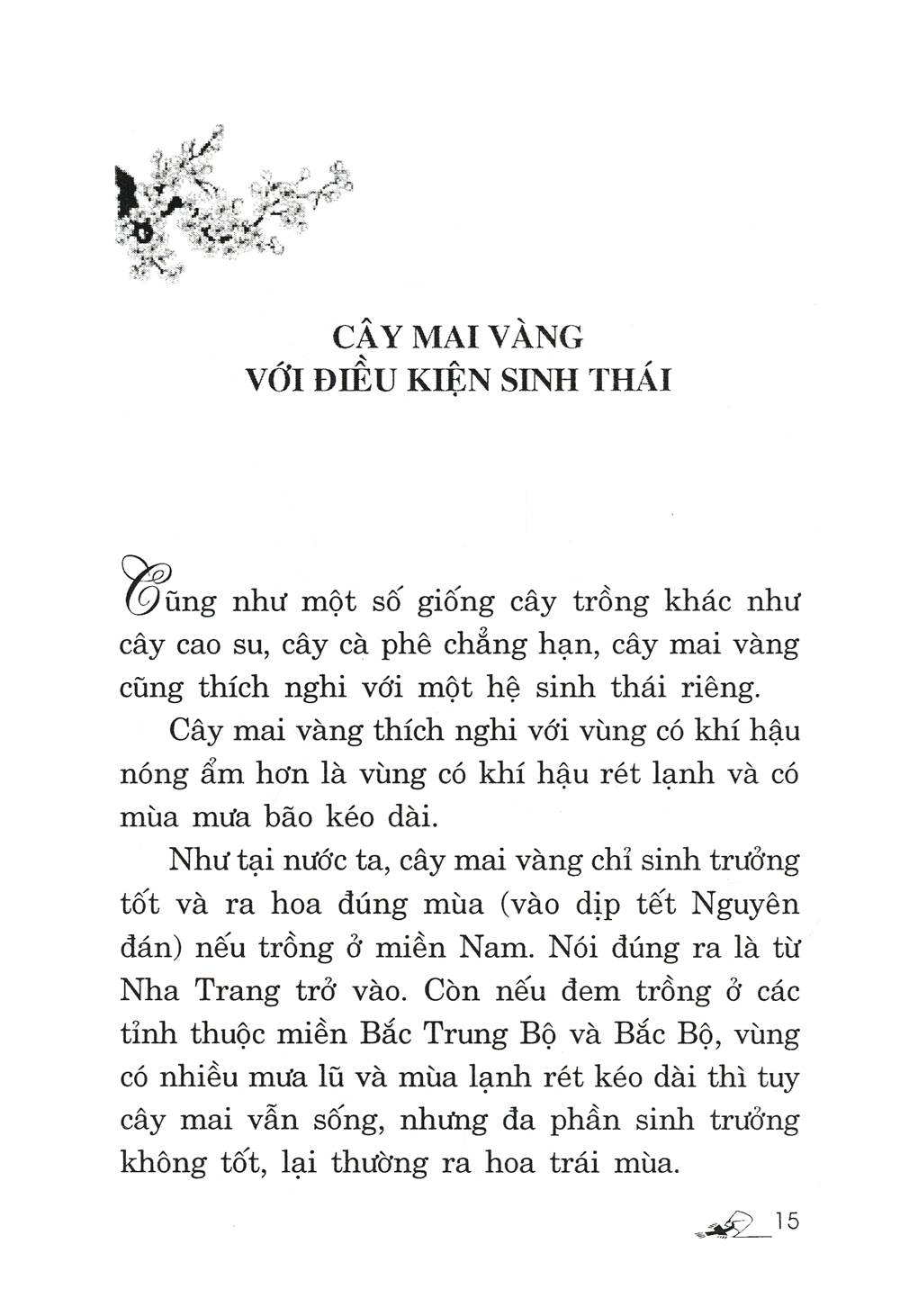 Trồng Mai - Kỹ Thuật Bón Tưới, Phòng Trừ Sâu Rầy - Bệnh Hại - Vanlangbooks