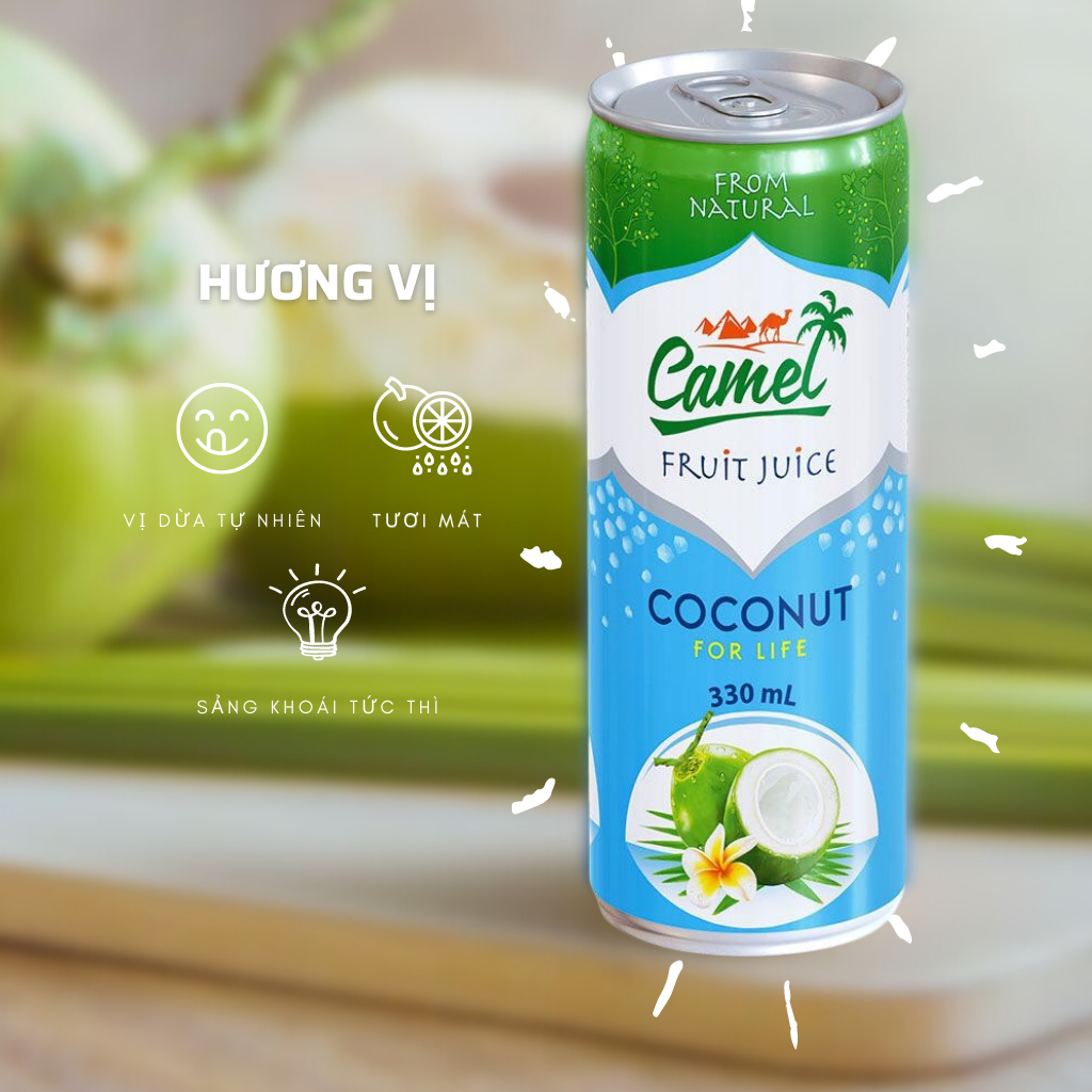 Nước dừa Camel thùng 24 Lon x 330ml