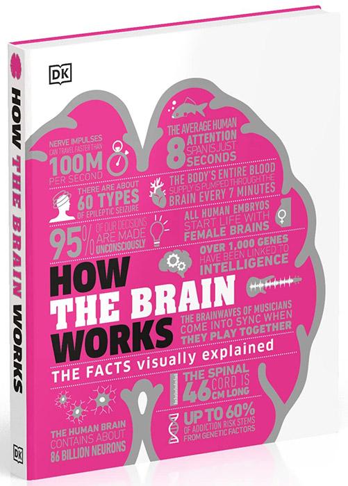 How the Brain Works : The Facts Visually Explained