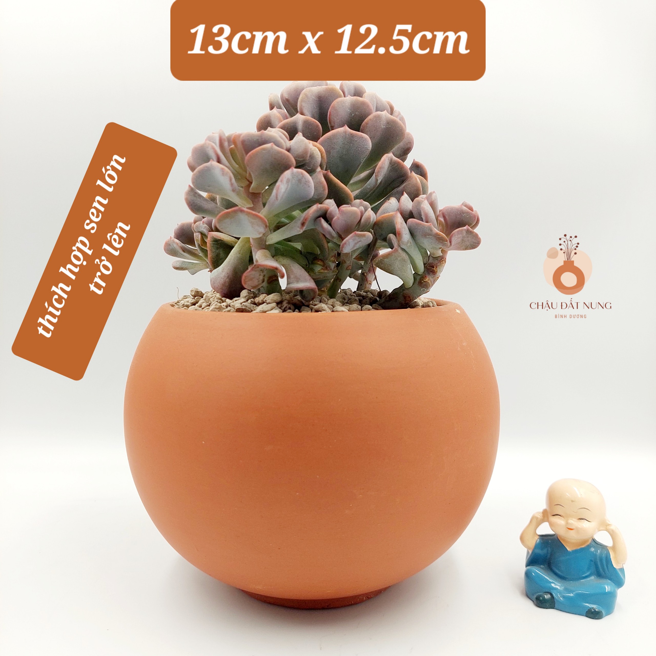 Chậu đất nung, chậu sen đá - A ball succulent 13125, miệng chậu 13cm, chiều cao 12.5cm