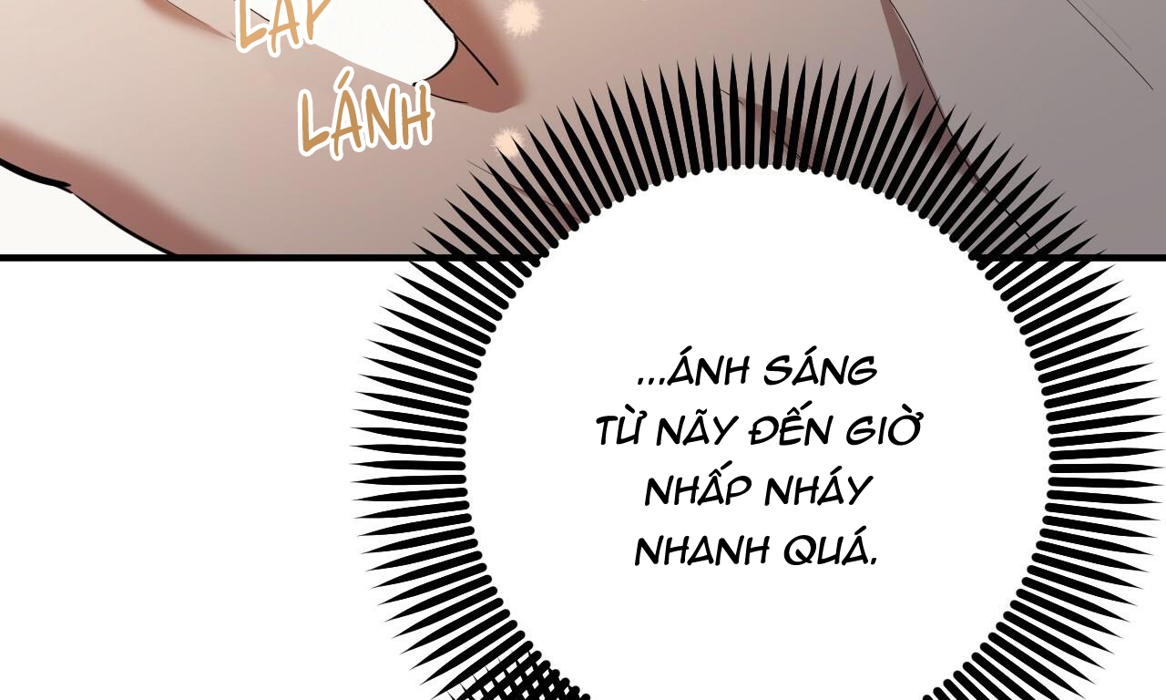 những chú thỏ của hapypy chapter 49 265