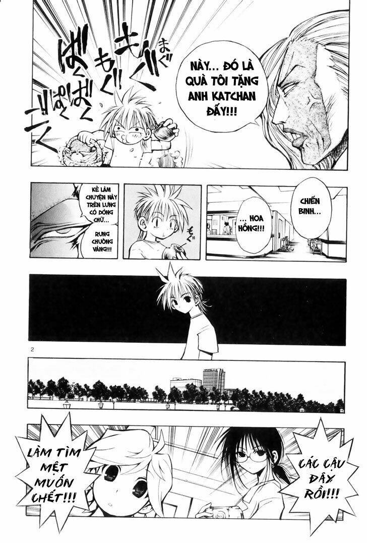 mixim12 chapter 13 2