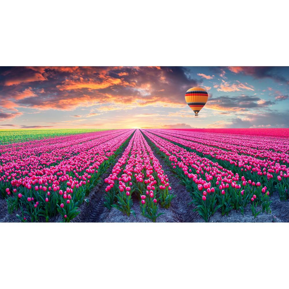 Tranh dán tường Tranh quả khinh khí cầu cùng vườn hoa tulip xinh đẹp, tranh dán tường 3d hiện đại