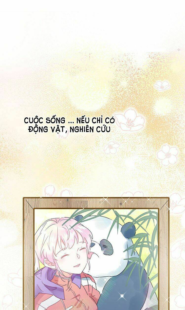 dừng chân nơi trái tim anh chapter 4 34