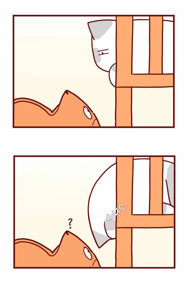 saphie: chú mèo một mắt chapter 16 9