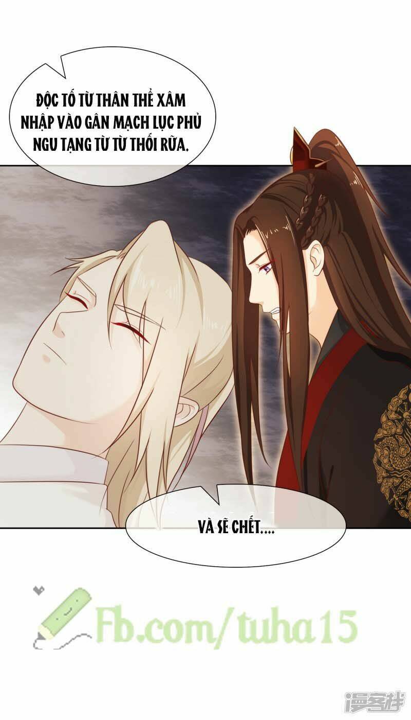 mười dặm hồng trang, thay huynh xuất giá chapter 28 5