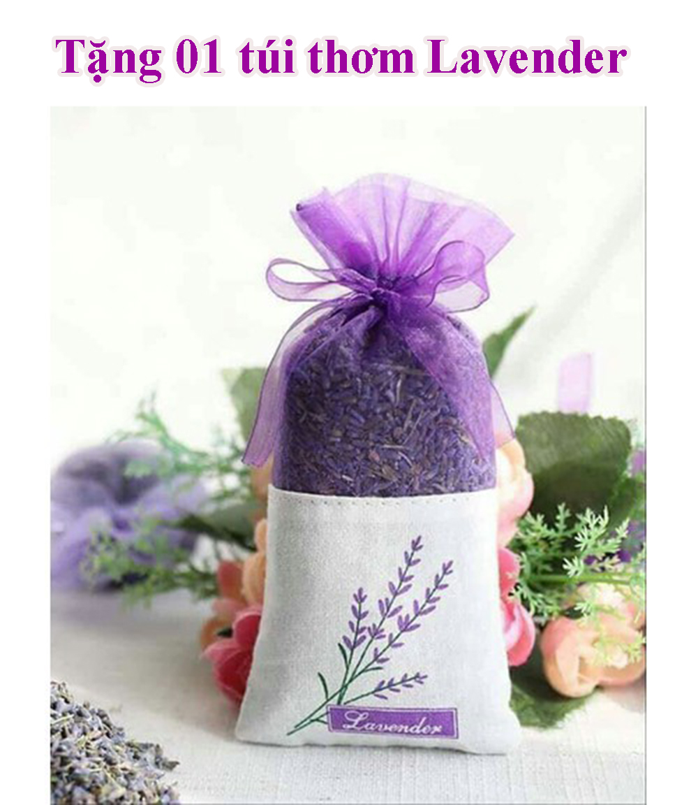 Ghế quỳ Zip khung thép, lưng lưới thoáng mát, tặng kèm túi thơm Lavender 