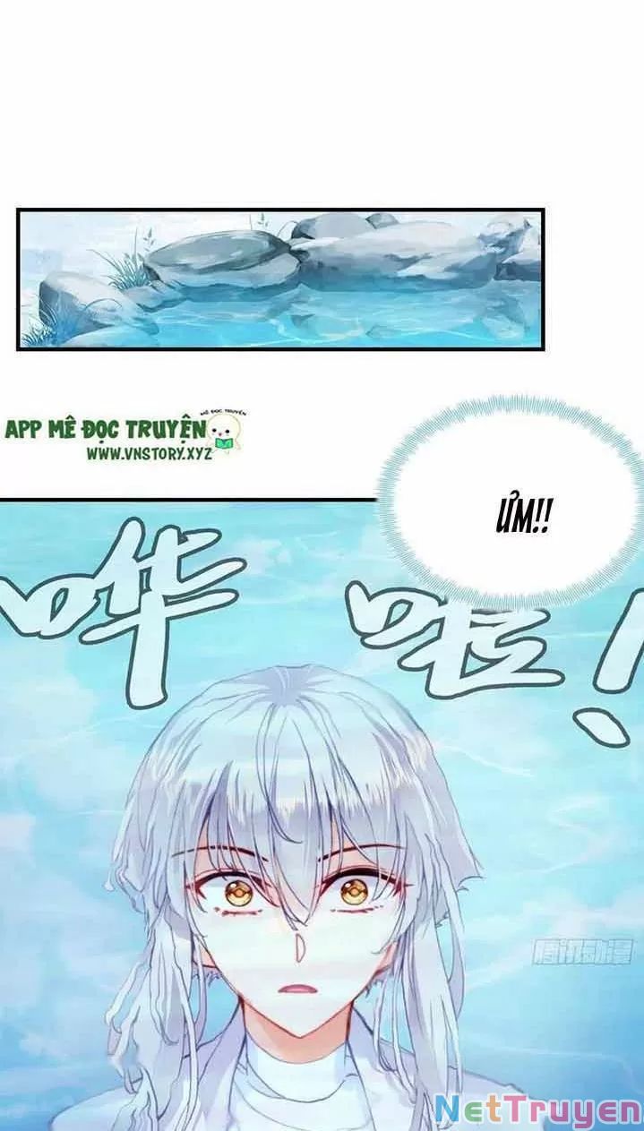 lại bị bệnh chiều chuộng quấn lấy chapter 16 10