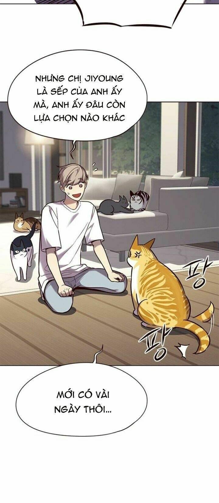biến thân thành mèo chapter 105 19