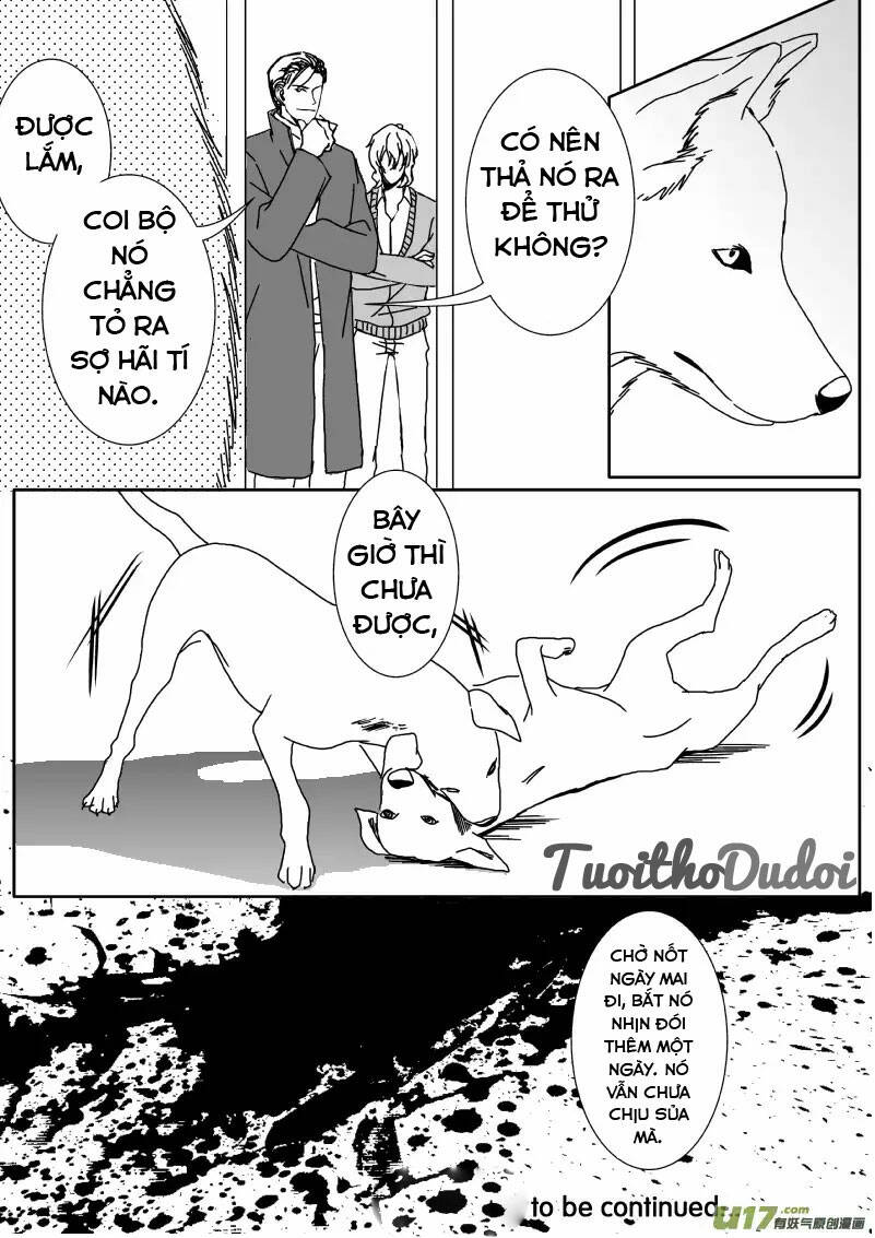 sự mê hoặc của sói chapter 37 11
