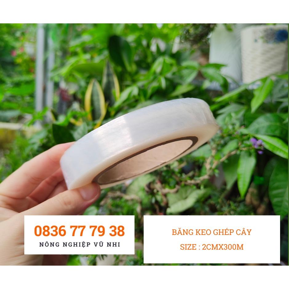 Băng keo ghép cây tự dính, tự hủy size 2cmx300m - hatgiong24h