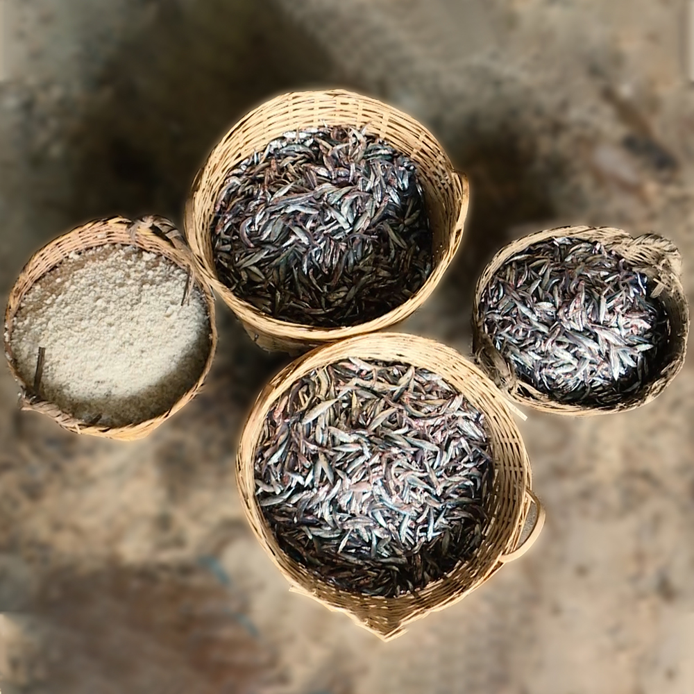 Đặc Sản Phan Thiết - Combo 3 Chai Nước Mắm Nhỉ Làng Chài Xưa Xuất Khẩu Nhãn Xanh 500Ml + 3 Chai Làng Chài Xưa Nhãn Đỏ 500Ml Cốt Nhỉ Đặc Biệt Từ 100% Cá Cơm Tươi