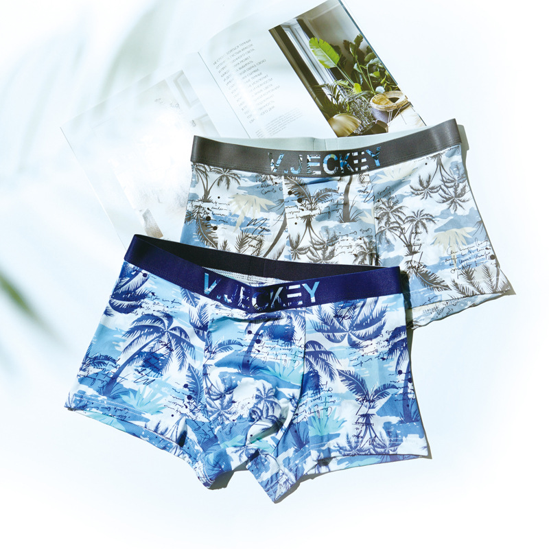 Quần Lót Nam Kháng Khuẩn Cotton Boxer Bằng Lụa Mẫu Ngẫu Nhiên - Hàng Nhập Khẩu