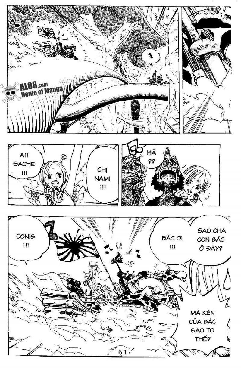 đảo hải tặc - one piece chapter 264 5