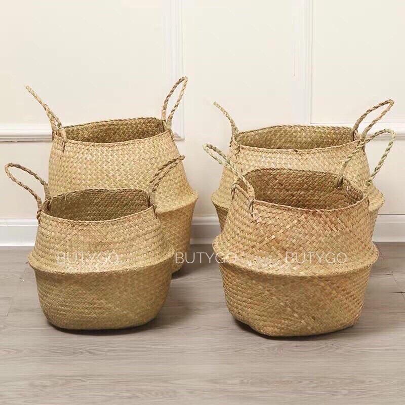 GIỎ CÓI TRỒNG CÂY