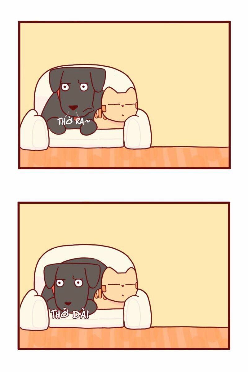 saphie: chú mèo một mắt chapter 15 6