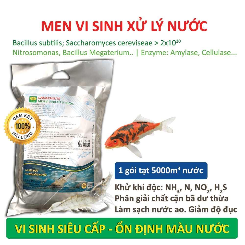 Combo 3 gói Men vi sinh xử lý nước ao hồ Cá Tôm - LASACHU. Làm trong nước, sạch nhớt đáy. Khử mùi hôi, chặn khí độc . Ức chế vi khuẩn gây hại. HSD: 2 năm