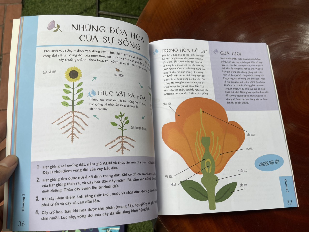 SINH HỌC CHO TRẺ TÒ MÒ - KHÁM PHÁ THẾ GIỚI SỐNG KÌ DIỆU! – Alex Foster, Laura Baker- Nxb Kim Đồng – bìa mềm