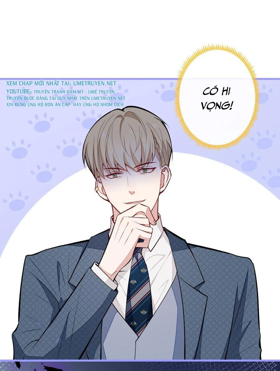 lại bị nam thần chọc trên hot search! chapter 73 12