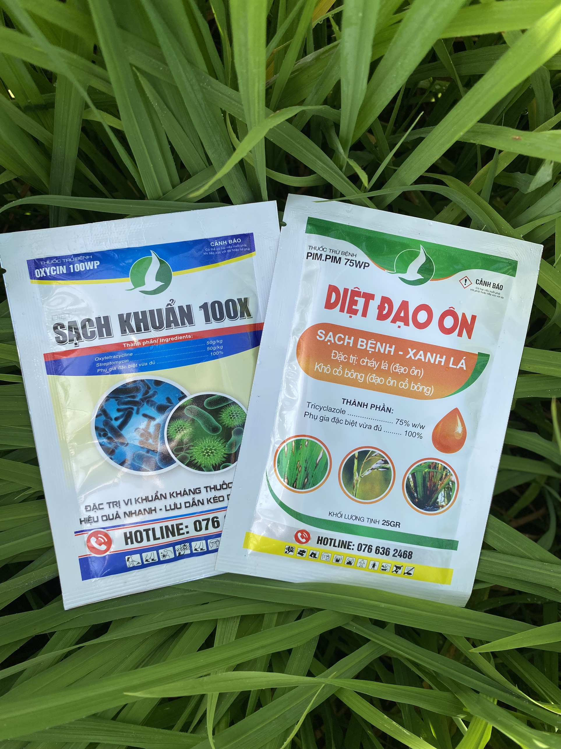 Combo 10 gói Diệt Đạo Ôn + 10 gói Sạch Khuẩn 100X - Diệt sạch nấm, khuẩn