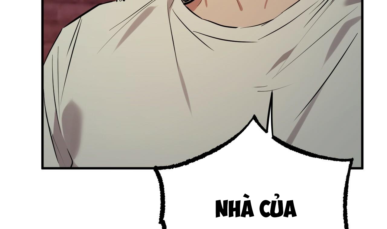 đàn thỏ của habibi chapter 37 202