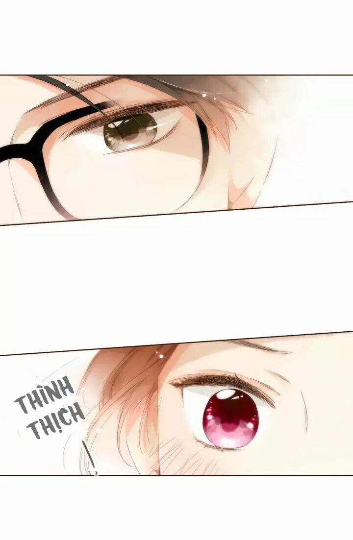 Tình yêu là màu hoa anh thảo chapter 29.3 23