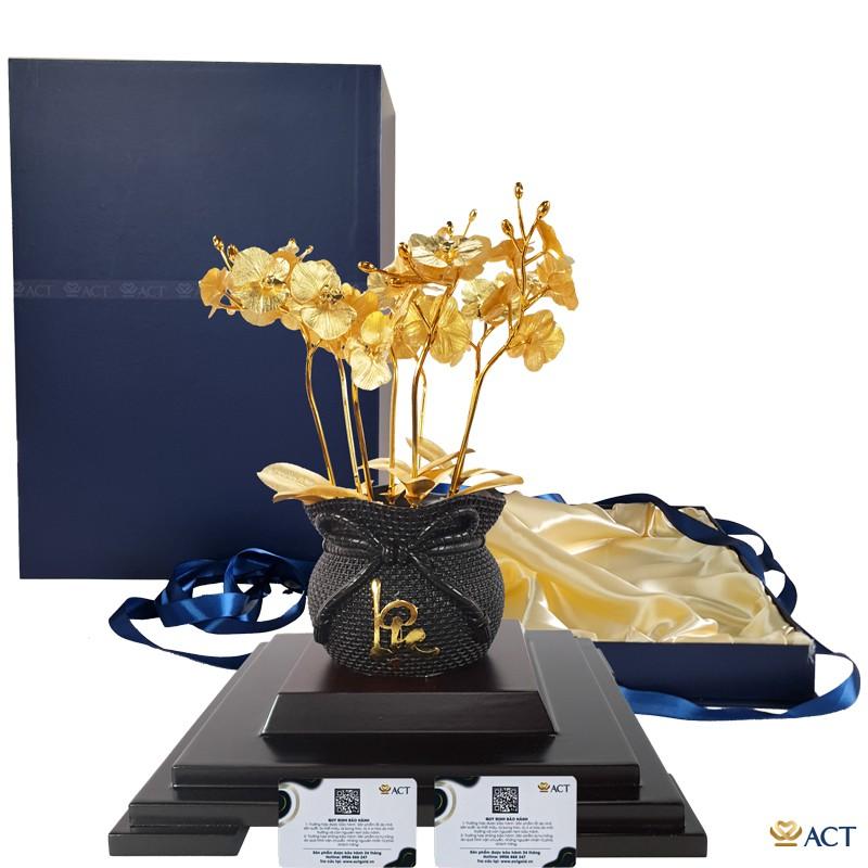 CHẬU LAN HỒ ĐIỆP 8 CÀNH