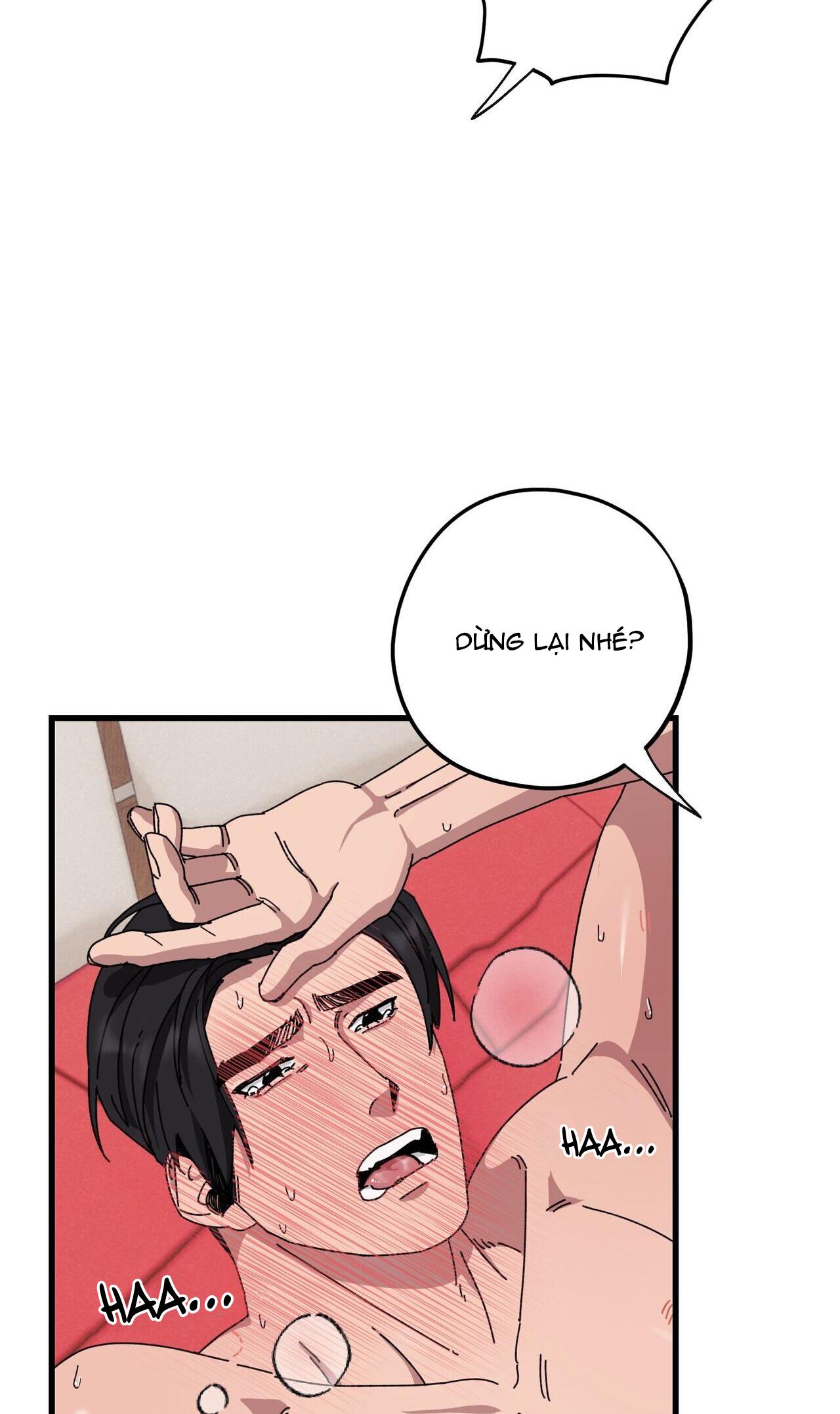 làm dâu nhà tài phiệt họ kang chapter 38 46