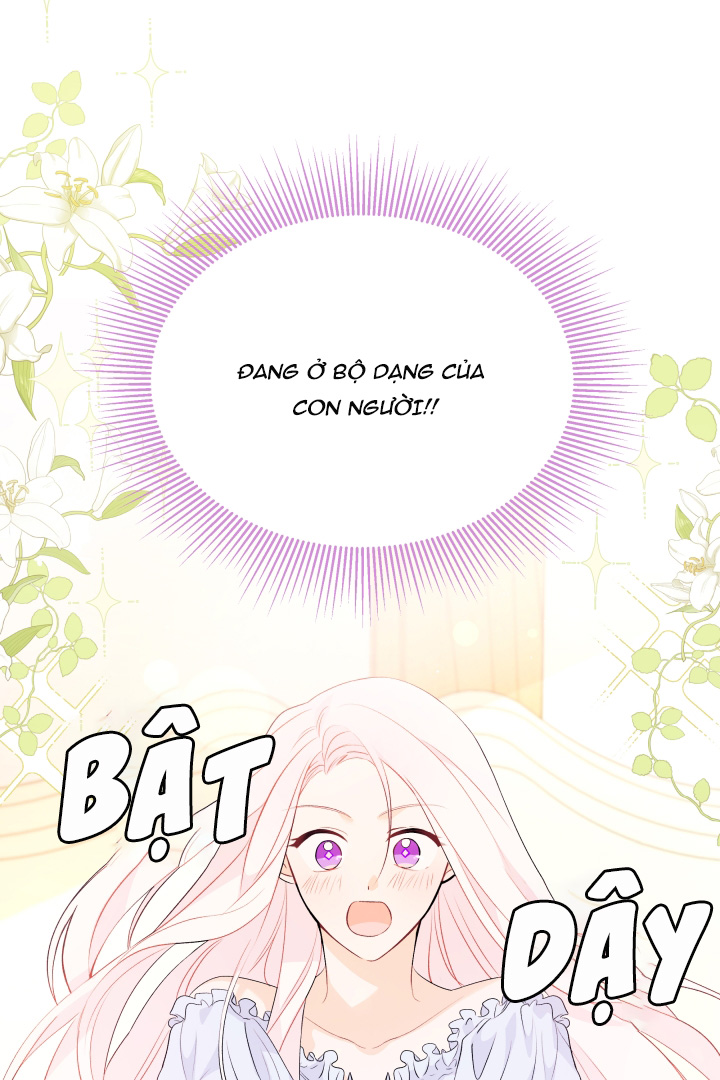 mối liên kết giữa báo đen và bé thỏ chapter 41.1 23