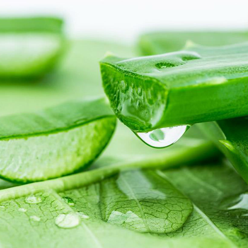 Xịt Khoáng Chiết Xuất Lô Hội Aloe Vera Soothing Mist 98% Organia