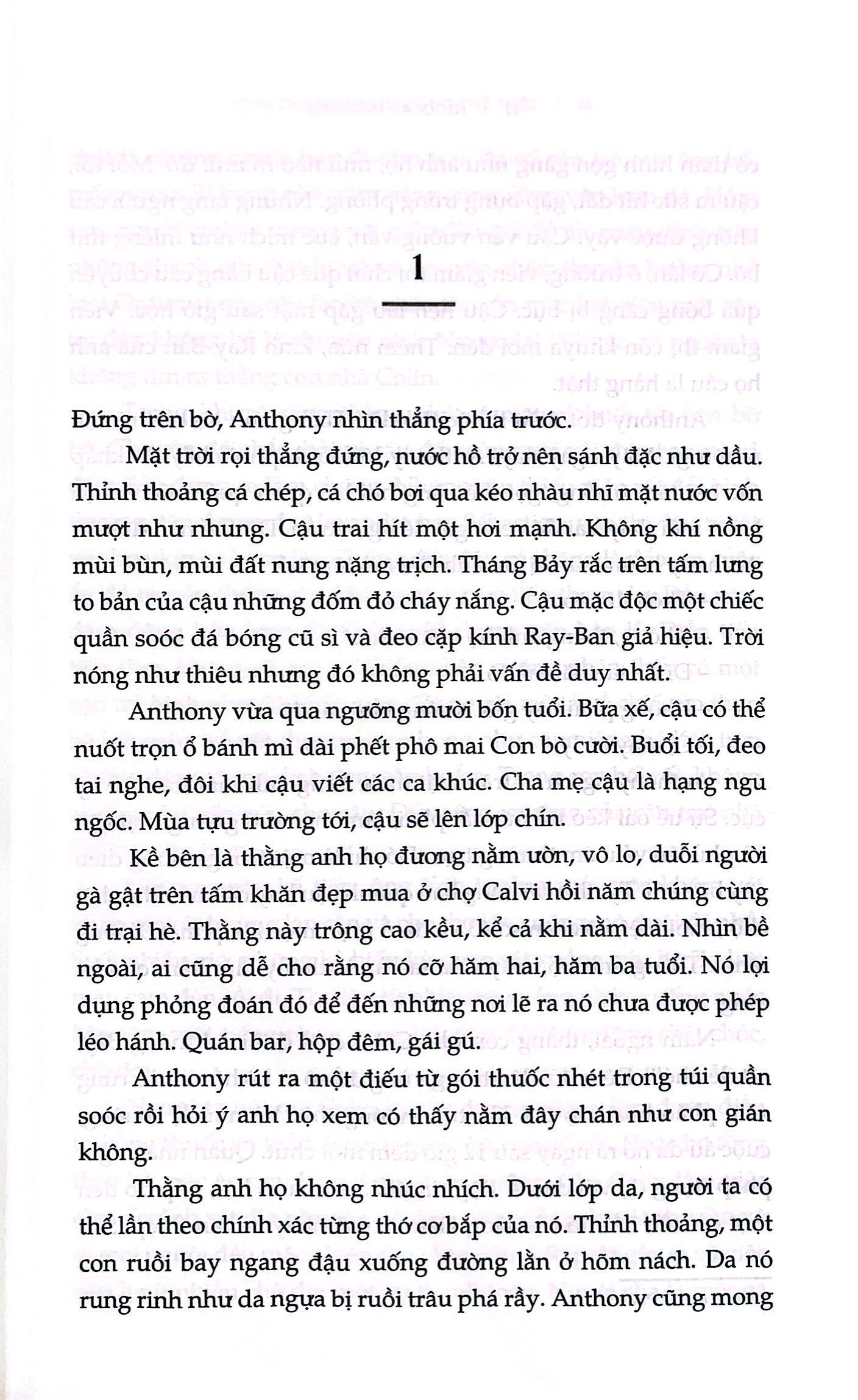 Con Cháu Của Họ Cũng Thế Thôi