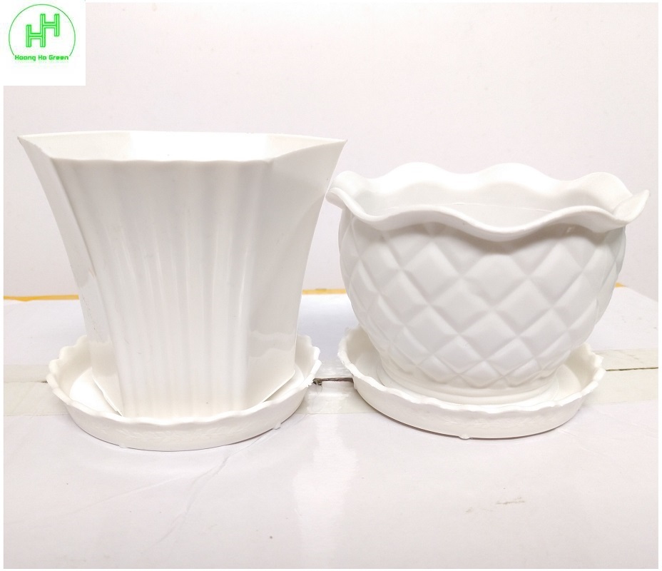 Combo 3 Chậu quả Dứa + 3 Chậu Lục giác Sen đá , trồng cây mini, xương rồng, cây để bàn, sen đá
