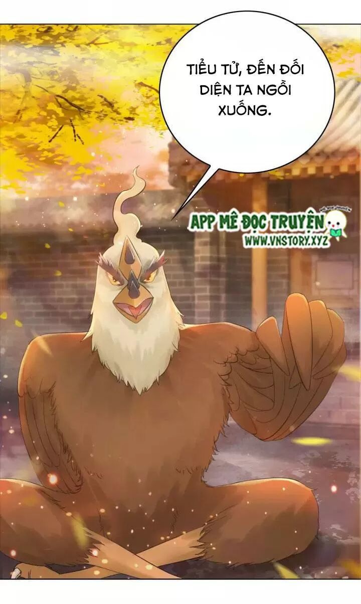 cực phẩm phế vật tiểu thư chapter 109 28