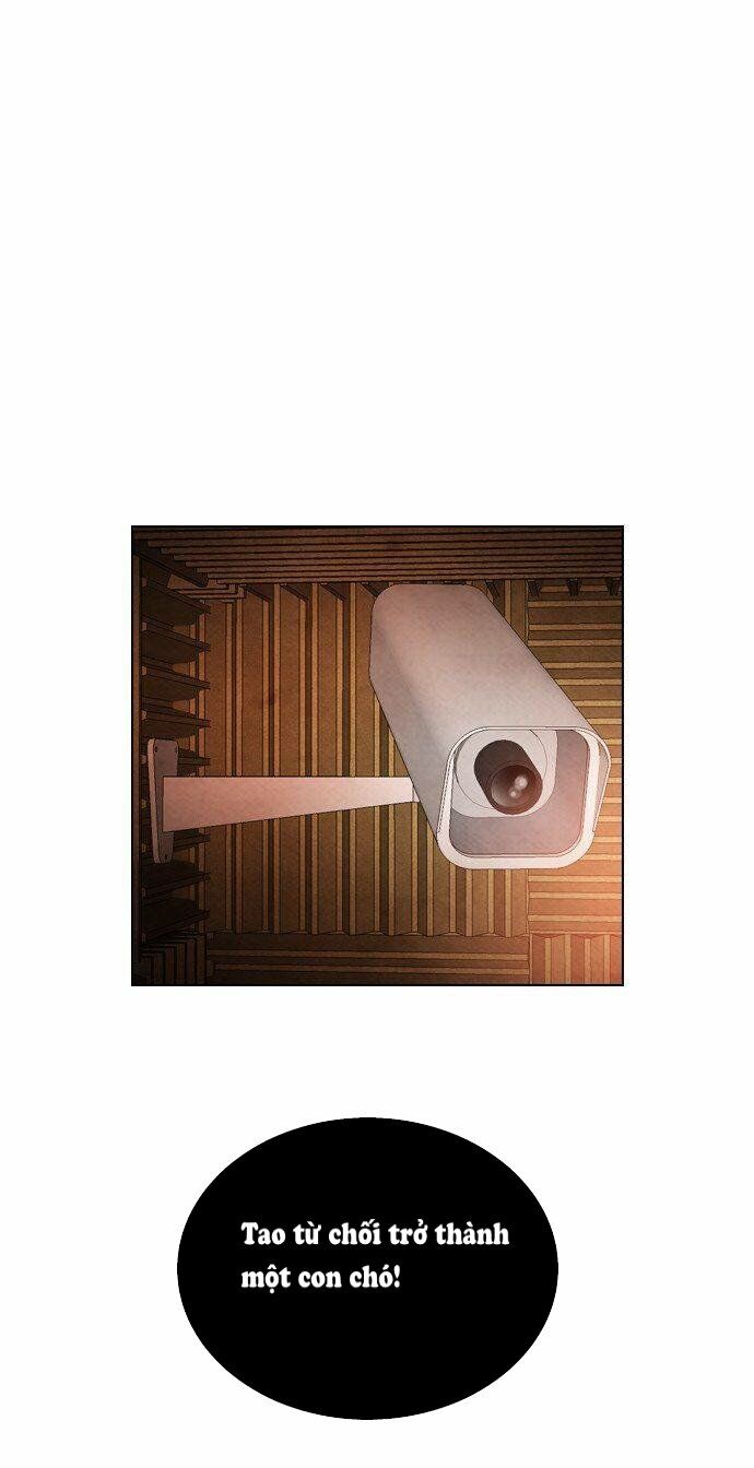 nạn nhân hồi sinh chapter 28.2 14