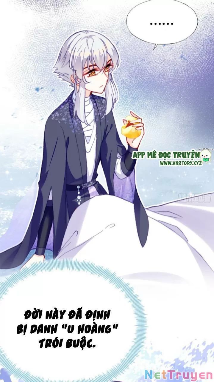 lại bị bệnh chiều chuộng quấn lấy chapter 19 46