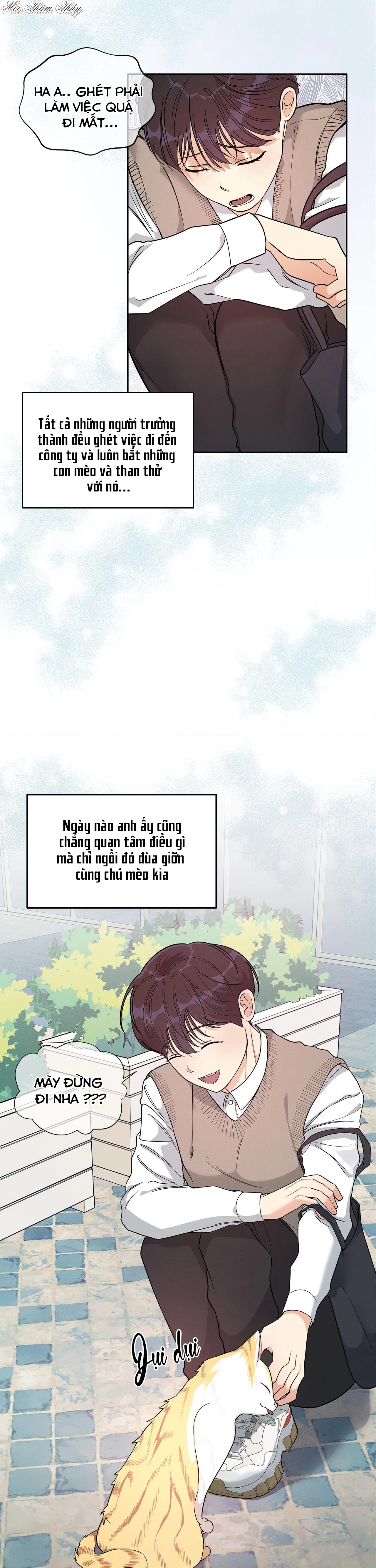 tiền bối của tôi chapter 3 3