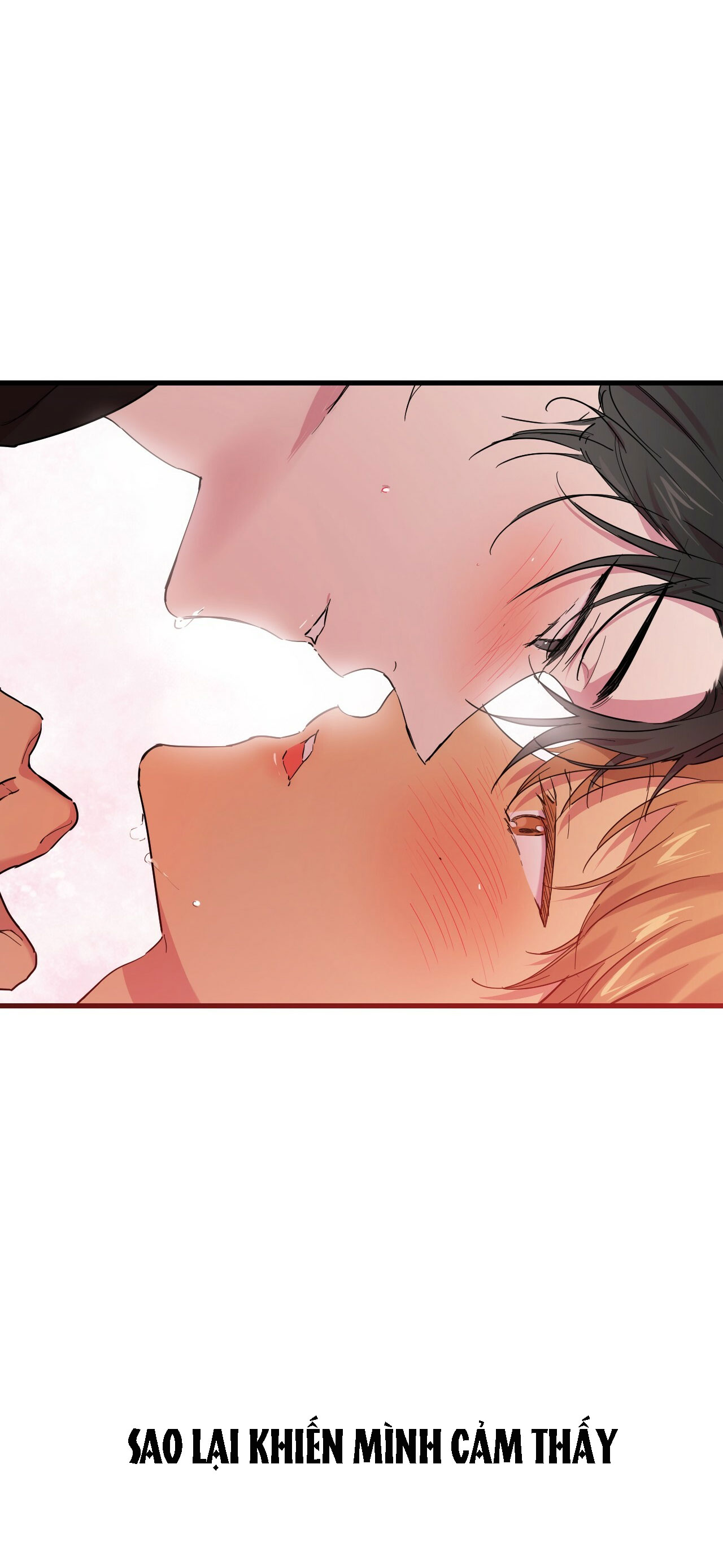 những chú thỏ của hapypy chapter 8 13