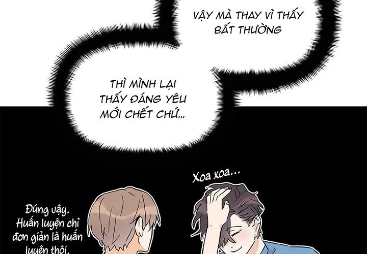 guide cấp b chapter 31 11