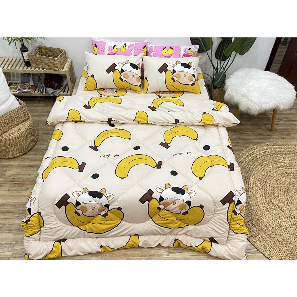 Set phao 5 món