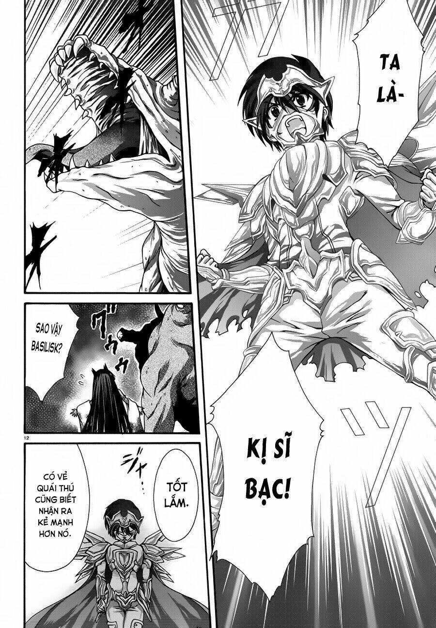 seikoku no dragonar chapter 14 13