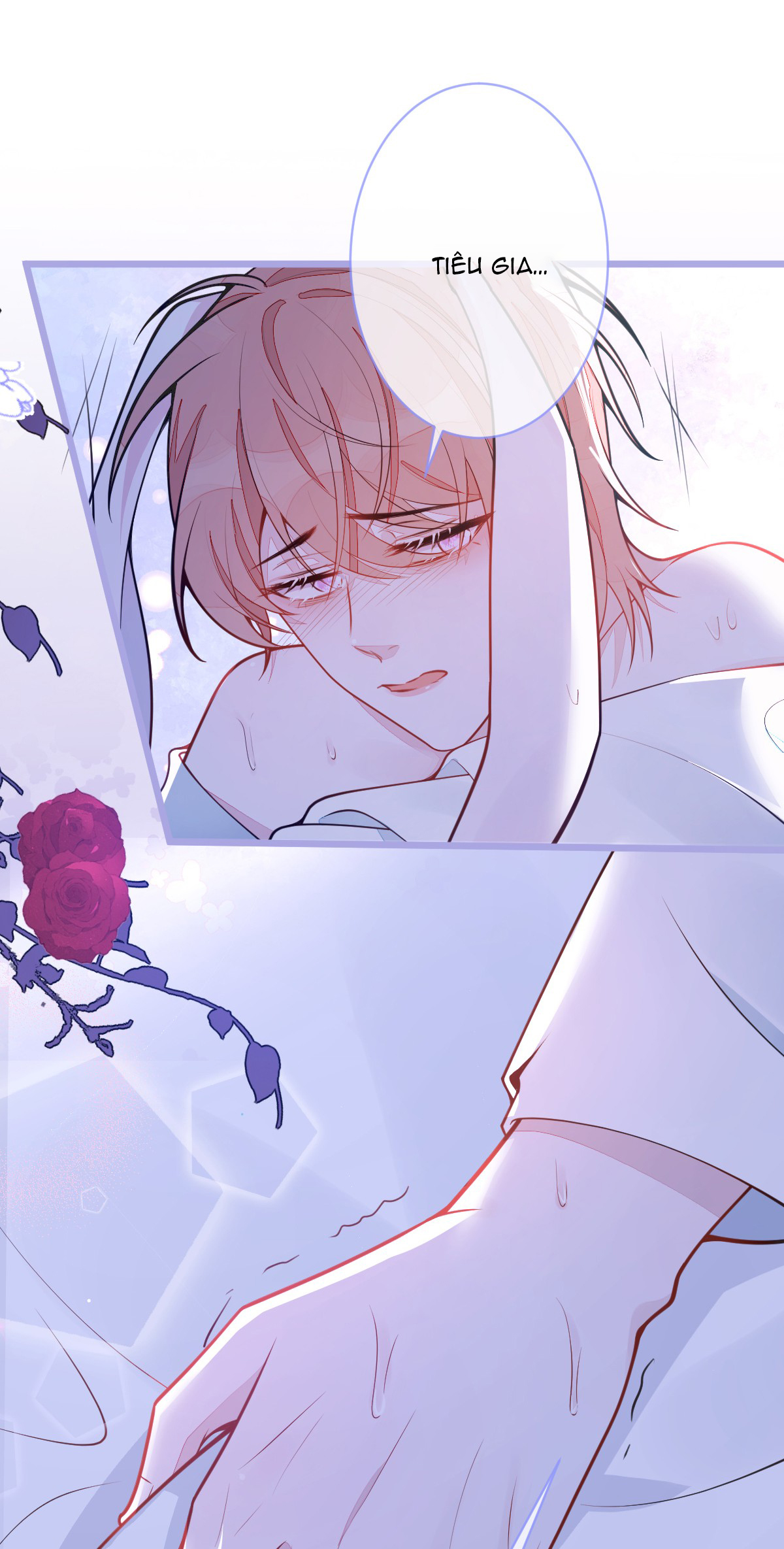 ân sủng của sói chapter 5 10