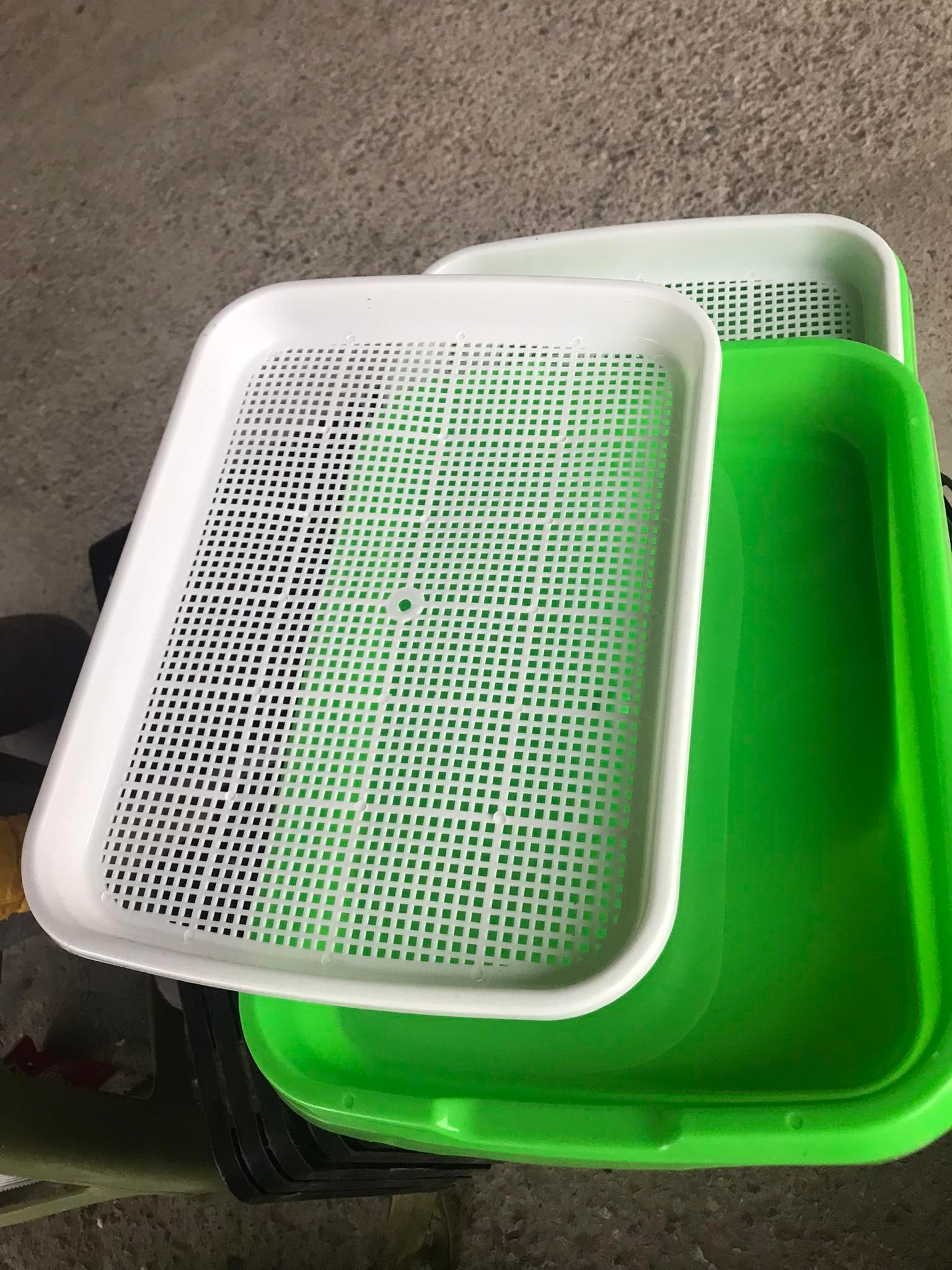 Khay trồng rau mầm, khay ươm rau mầm sạch, làm bằng nhựa PP an toàn KT 33X25X4