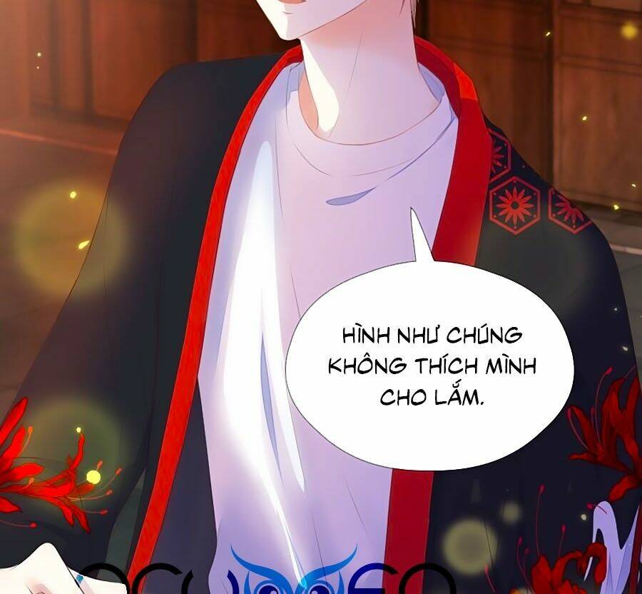 đóa hoa chớm nở chapter 71 7
