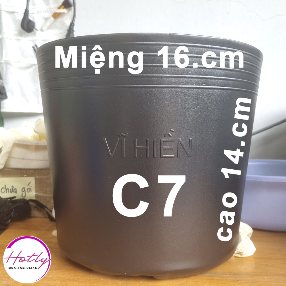 100 Chậu nhựa trồng cây C7 17x14x14cm trồng cây ăn trái và hoa-77211