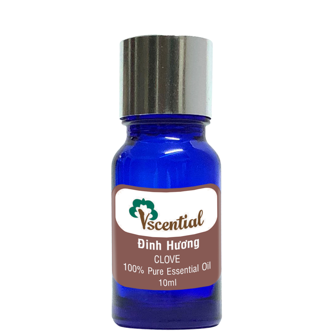 Vscential Tinh Dầu Đinh Hương 10ml