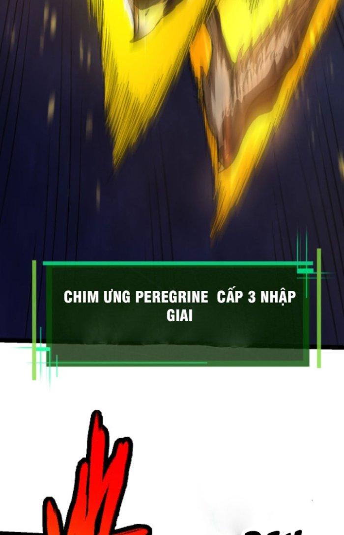 từ cây cổ thụ bắt đầu tiến hóa chapter 4 16